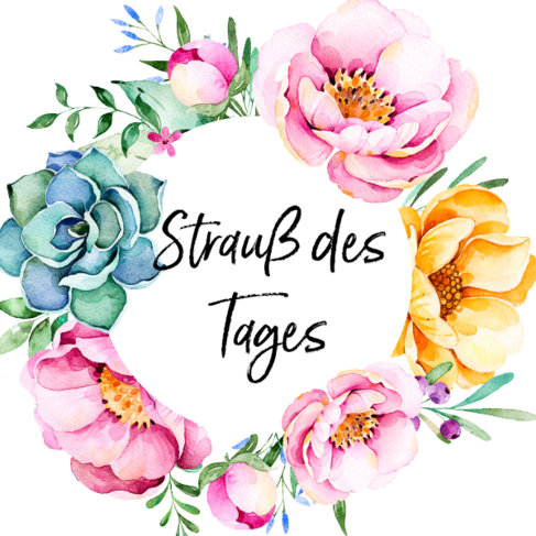 Strauß des Tages – Bild 2