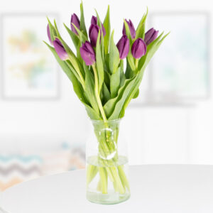10 Lila Tulpen