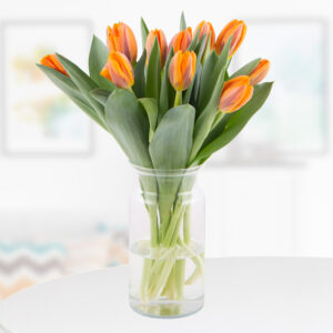 10 Orange Tulpen