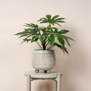 Übertopf Keramik Cremeweiß - 14 cm