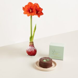 Winterbote mit winterlicher Sachertorte