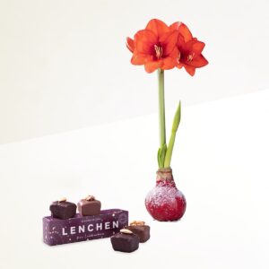 Winterbote mit Lebkuchenpralinen