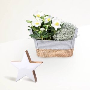 Winterzauber mit Deko-Aufsteller Stern Weiß