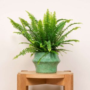 Keramik Übertopf Organisch Grün - 14 cm