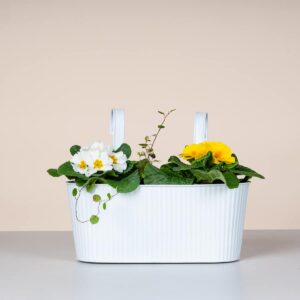 Metall Balkonkasten Rille Weiß - 30 cm