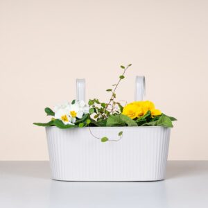 Metall Balkonkasten Rille Grau - 30 cm