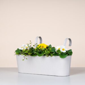 Metall Balkonkasten Rille Grau - 42 cm