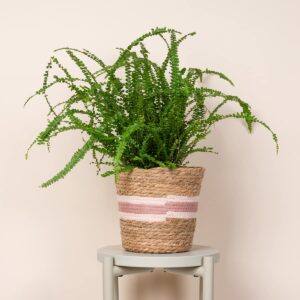 Übertopf Streifen Natur Pink - 20 cm