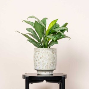 Keramik Übertopf Reaktiv Beige - 14,5 cm