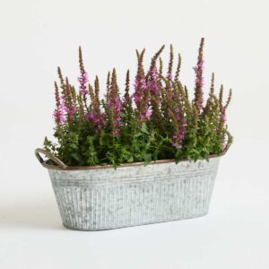 Zink Pflanzgefäß Antik Grau