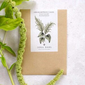 Jora Dahl Saatgut Fuchsschwanz 'Green Cascade'