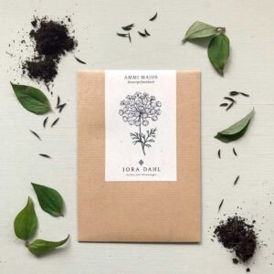 Jora Dahl Saatgut Knorpelmöhre 'Ammi majus'