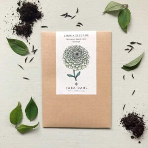 Jora Dahl Saatgut Zinnie 'Benary's Giant Lime'