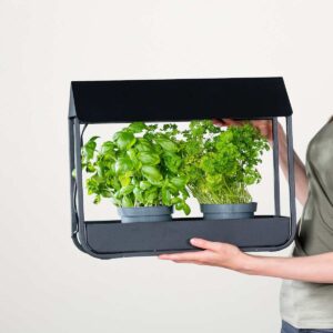 Gewächshaus inkl. Licht Schwarz