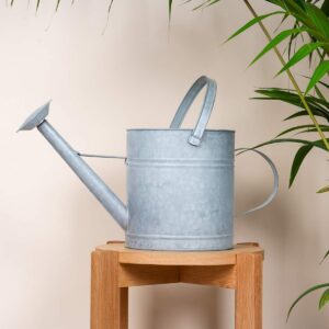 Zink Gießkanne XL