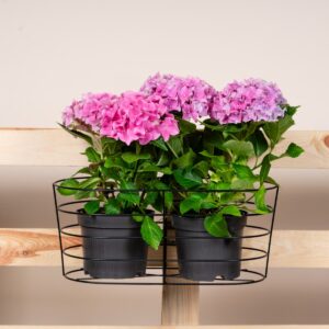 Metall Balkontopfhänger Rund Schwarz - 26 cm