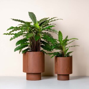 Rost Übertopfe 2er-Set