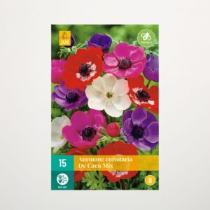 Anemonen 'De Caen' Mix - 15 Knollen