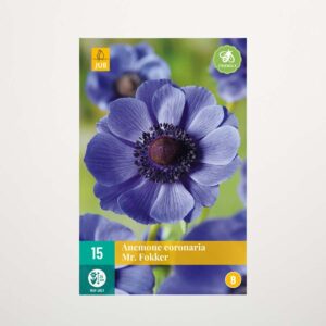 Anemone 'Mr. Fokker' - 15 Knollen