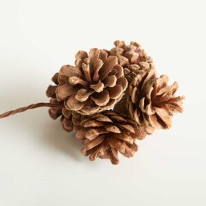 Deko Zapfenpick Natur