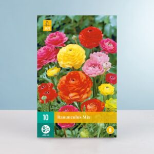Ranunkel Mix - 10 Knollen