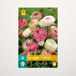 Ranunkeln - 'Pastel' Mix - 10 Knollen