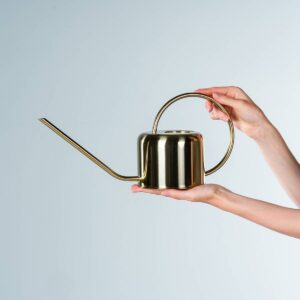 Metall Gießkanne Goldfarben