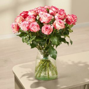 Zweifarbige Rosen 'Paloma' - 20 Stiele