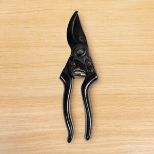 By Benson Gartenschere