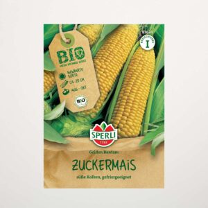 Zuckermais 'Golden Bantam' Samen BIO