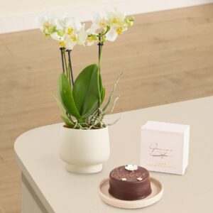 Traumhaft mit Blumen-Sachertorte 200g