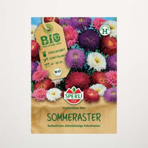 Sommerastern 'Zuckertüten' Mix Samen BIO