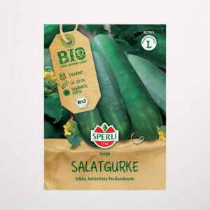 Salatgurken Samen BIO