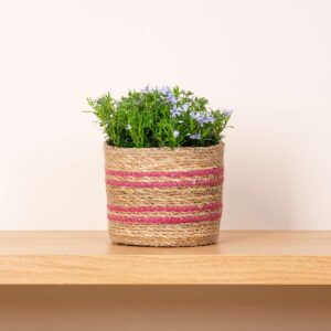 Seegras Korb Gestreift Pink - 14 cm