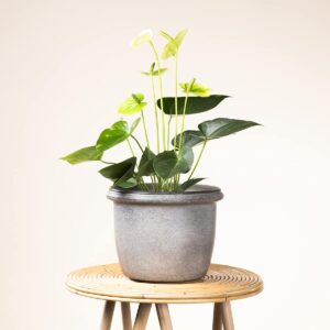 Metallgefäß Taupe/Grau - 20 cm