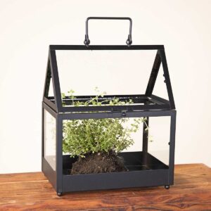 Metall Gewächshaus Schwarz