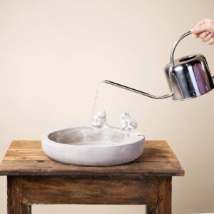 Beton Vogeltränke Frosch Schriftzug "Swimmingpool"