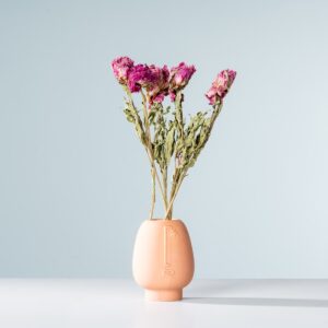 Trockenblumenbund Paeonie