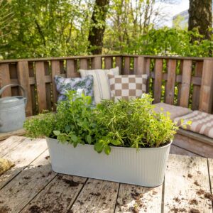 DIY Balkonkasten Kräutergarten