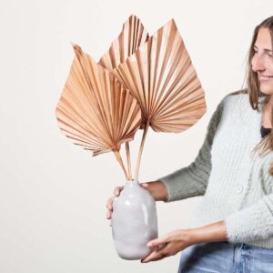 Trockenblumenbund Palm Spear Peach