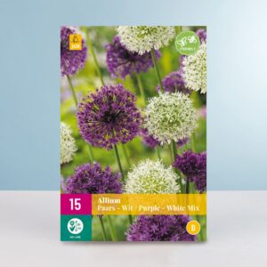 Allium 'Lila-Weiß' Mix - 15 Zwiebeln