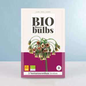 BIO Sizilianischer Honiglauch - 5 Zwiebeln