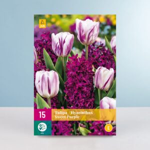Tulpen & Hyazinthen 'Sweet Purple' Mix - 15 Zwiebeln