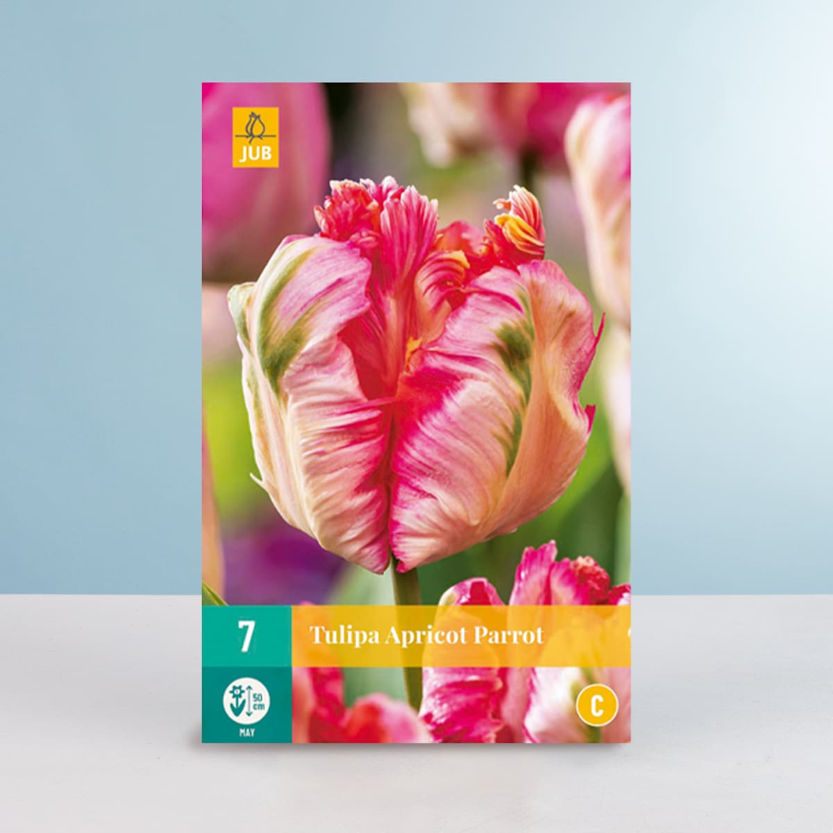 Gefüllte späte Tulpe 'Apricot Parrot' - 7 Zwiebeln