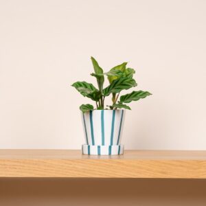 Keramik Pflanztopf Weiß/Blau - 9 cm