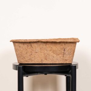 Kokos Pflanzeschale Braun Klein