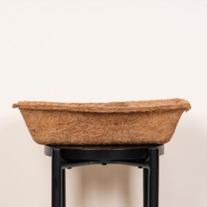 Kokos Pflanzschale Braun Groß