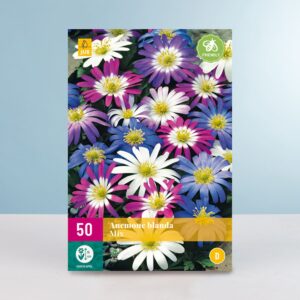 Balkan-Windröschen Mix - 50 Knollen