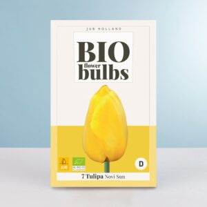 BIO Darwin-Hybrid-Tulpe 'Novi Sun' - 7 Zwiebeln
