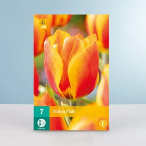 Einfache frühe Tulpe 'Flair' - 10 Zwiebeln
